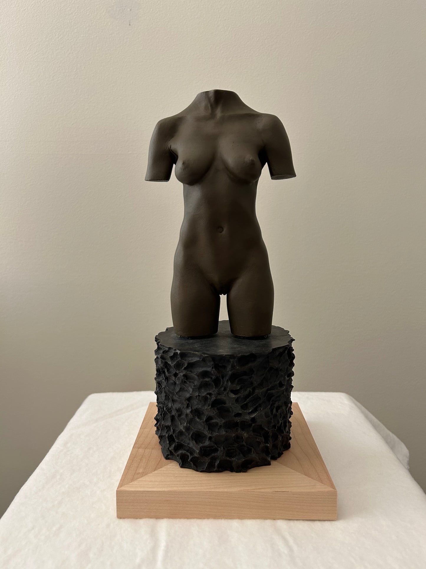 MOCA TORSO