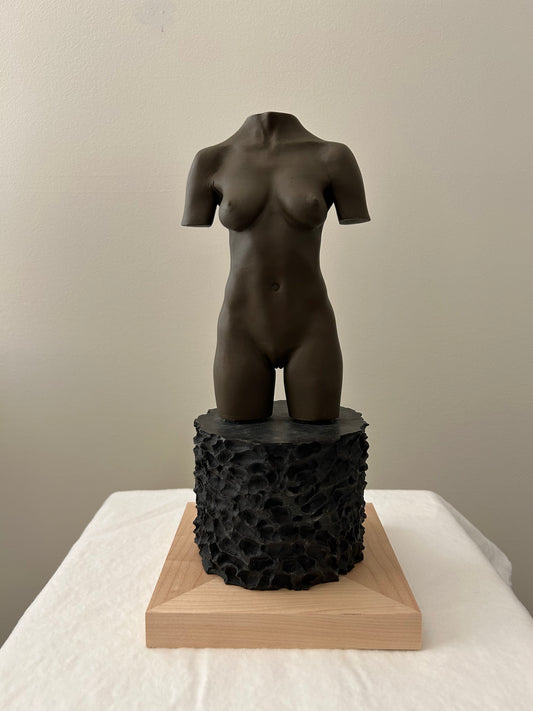 MOCA TORSO