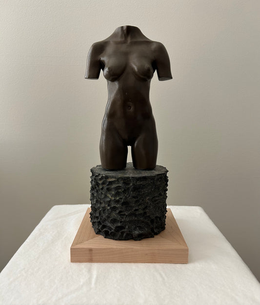 MOCA TORSO
