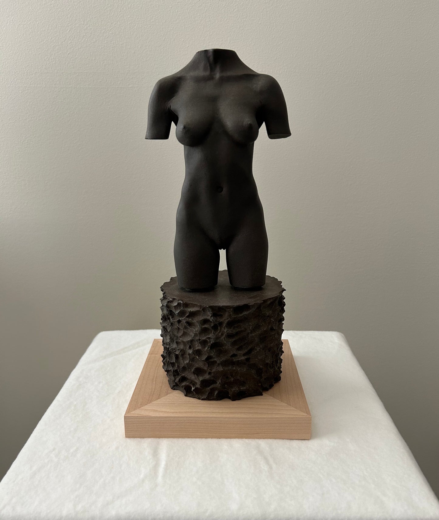 MOCA TORSO