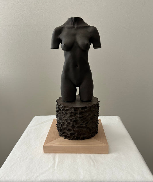 MOCA TORSO