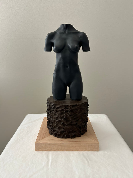 MOCA TORSO