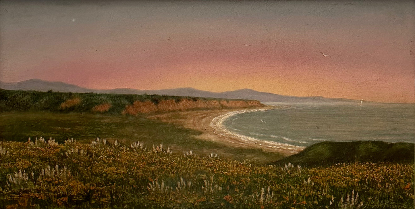 UNTITLED (SOUTH FACING VIEW OF SANTA BARBARA)