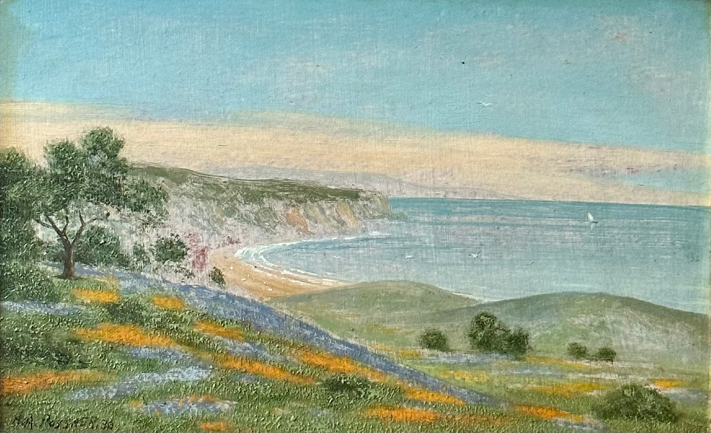 UNTITLED (SOUTH FACING VIEW OF SANTA BARBARA)